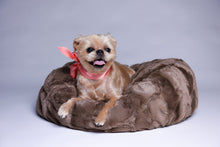 Dog Puff Bed - Brown Truffle - Funraise 