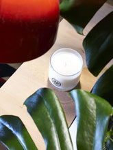 Two Candles in complementary scents - Funraise 