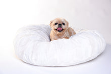 Dog Puff Bed - Cream - Funraise 