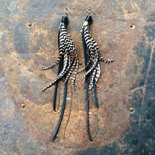 Pirate Feather Earrings - Various Colors
